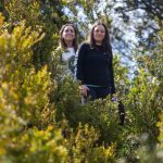 Excursión fin temporada Álava 2025